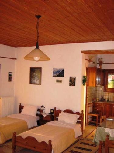 Gerakofolia Rooms To Let Konitsa Buitenkant foto