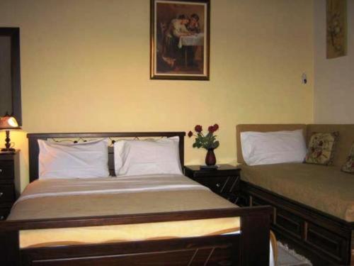 Gerakofolia Rooms To Let Konitsa Buitenkant foto
